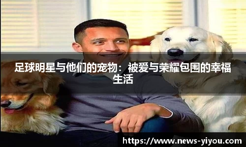 易游体育入口